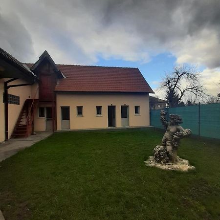Vila Dionysos Brasov Ghimbav エクステリア 写真