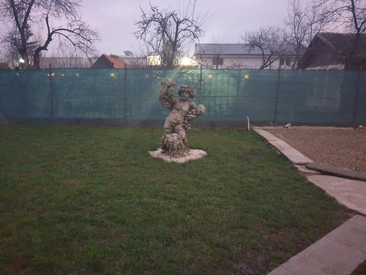 Vila Dionysos Brasov Ghimbav エクステリア 写真