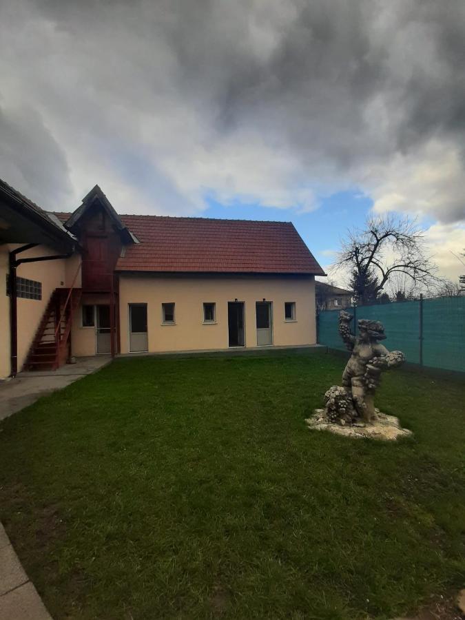 Vila Dionysos Brasov Ghimbav エクステリア 写真