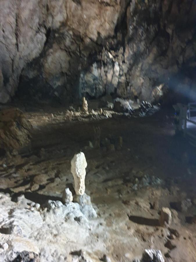 Vila Dionysos Brasov Ghimbav エクステリア 写真