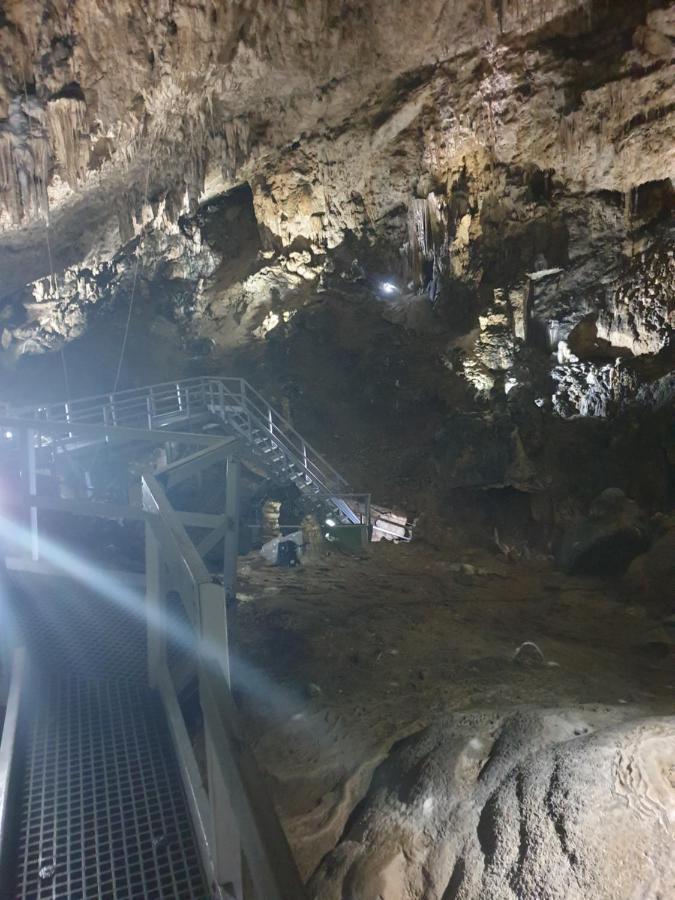 Vila Dionysos Brasov Ghimbav エクステリア 写真