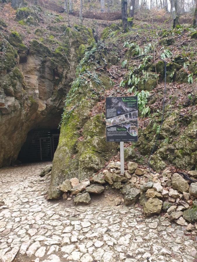 Vila Dionysos Brasov Ghimbav エクステリア 写真