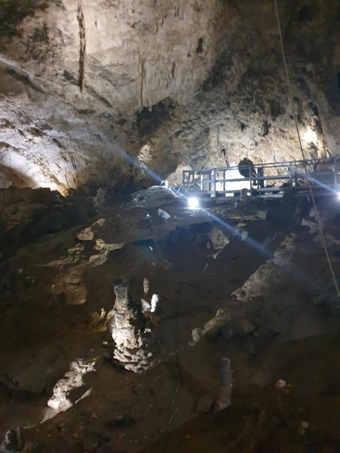 Vila Dionysos Brasov Ghimbav エクステリア 写真