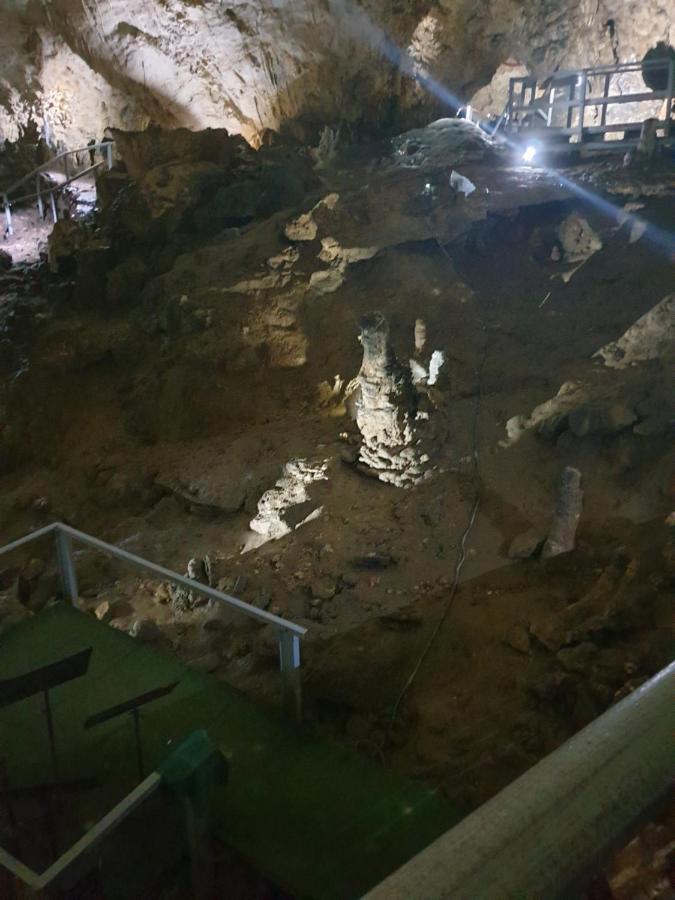 Vila Dionysos Brasov Ghimbav エクステリア 写真