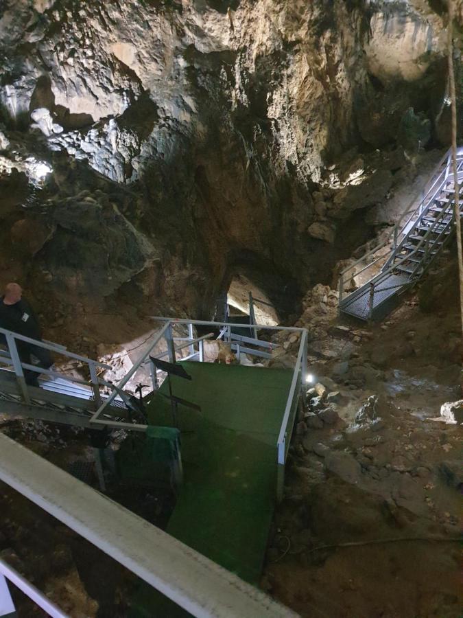 Vila Dionysos Brasov Ghimbav エクステリア 写真