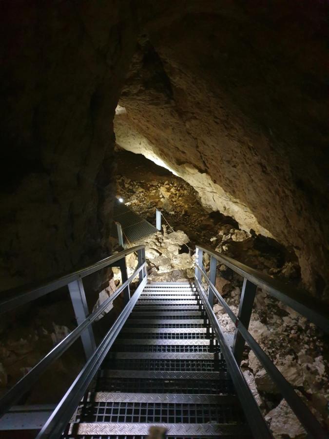 Vila Dionysos Brasov Ghimbav エクステリア 写真