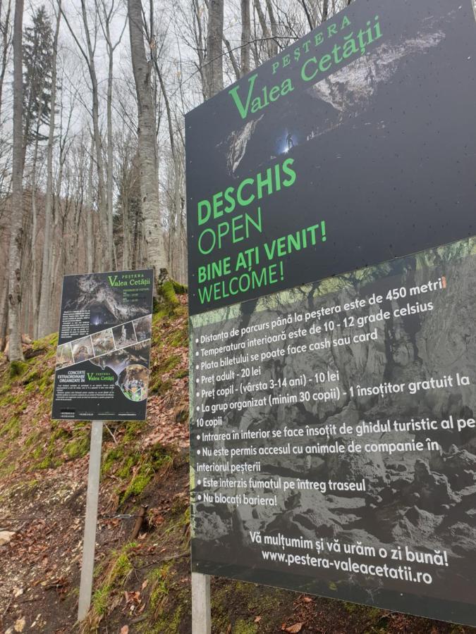 Vila Dionysos Brasov Ghimbav エクステリア 写真