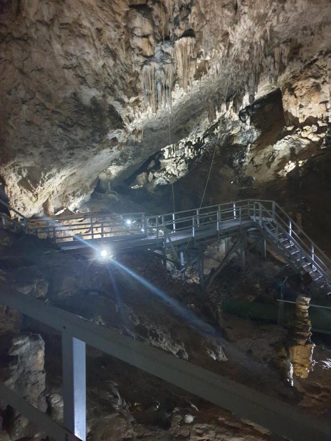 Vila Dionysos Brasov Ghimbav エクステリア 写真