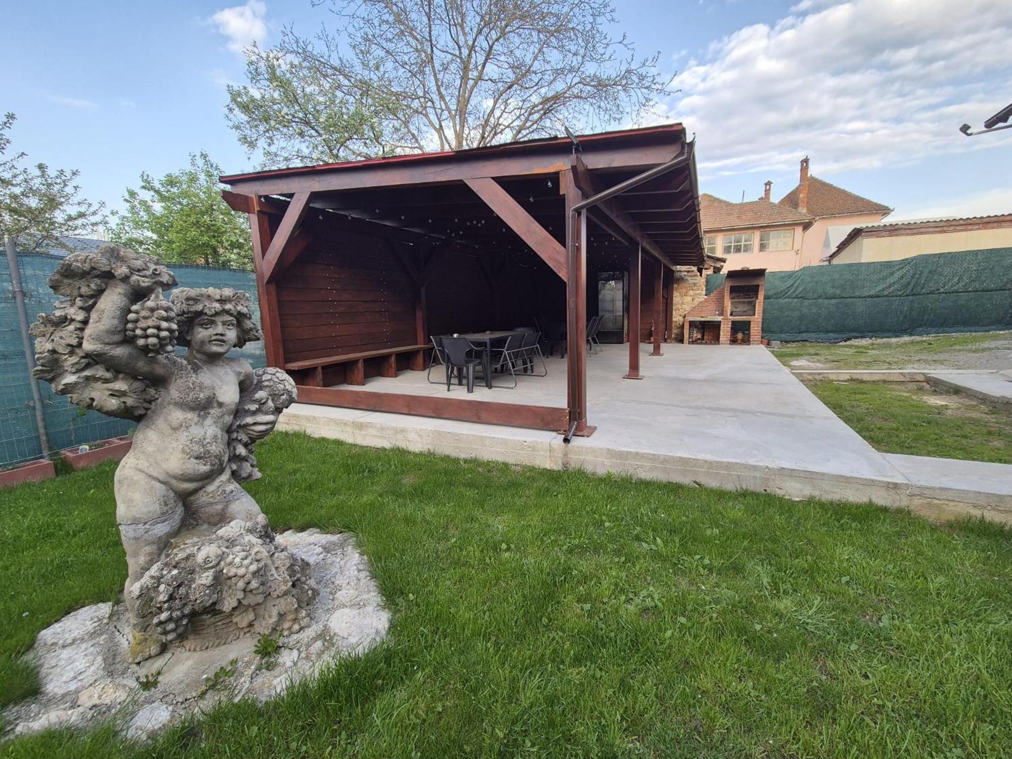 Vila Dionysos Brasov Ghimbav エクステリア 写真